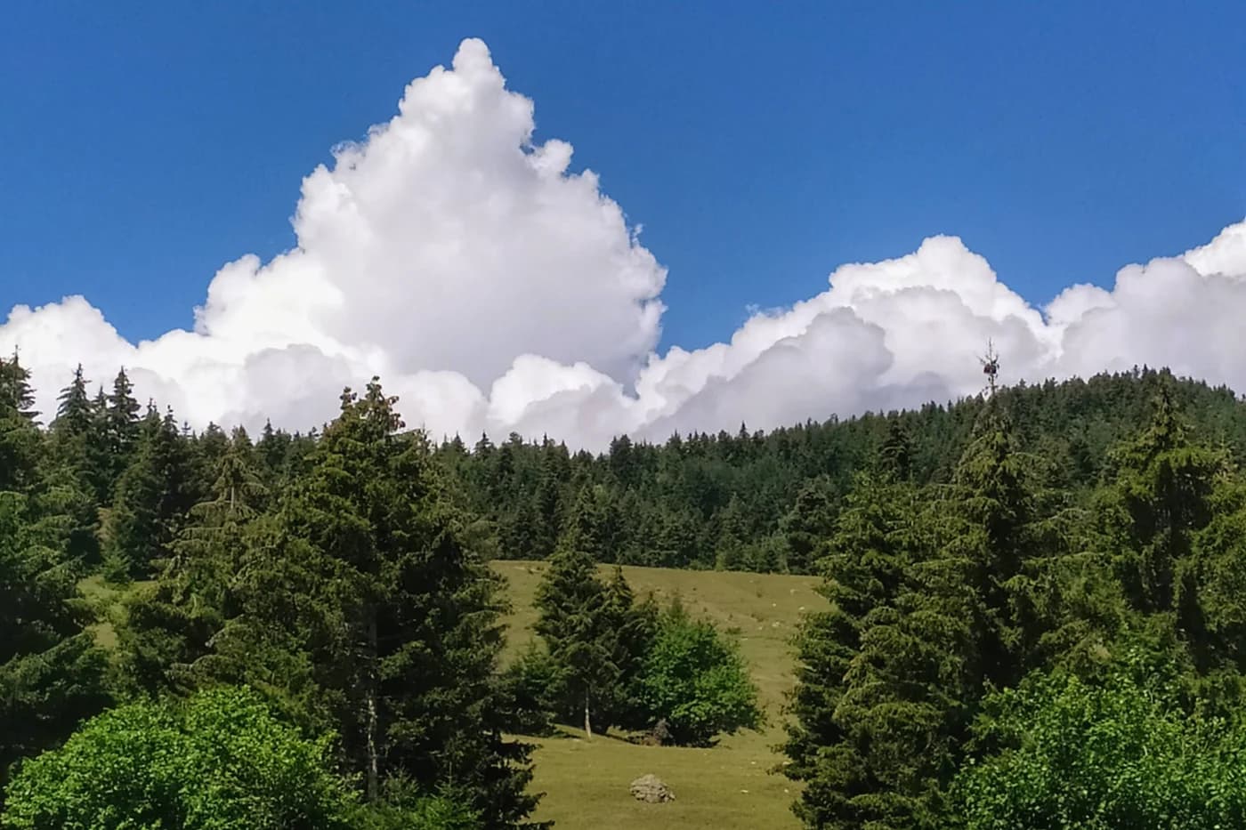 Borjomi
