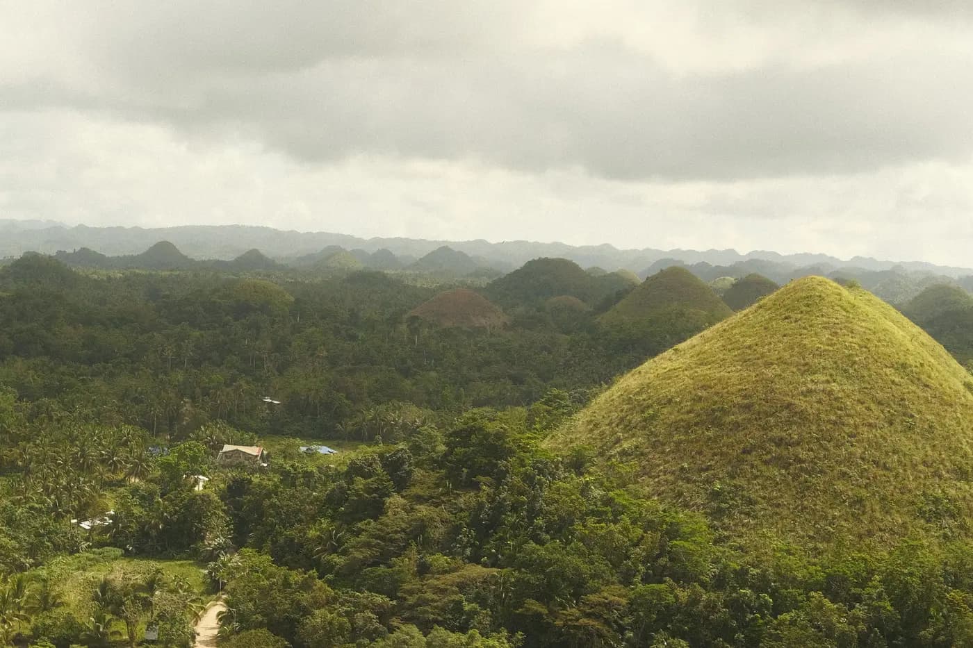 Bohol
