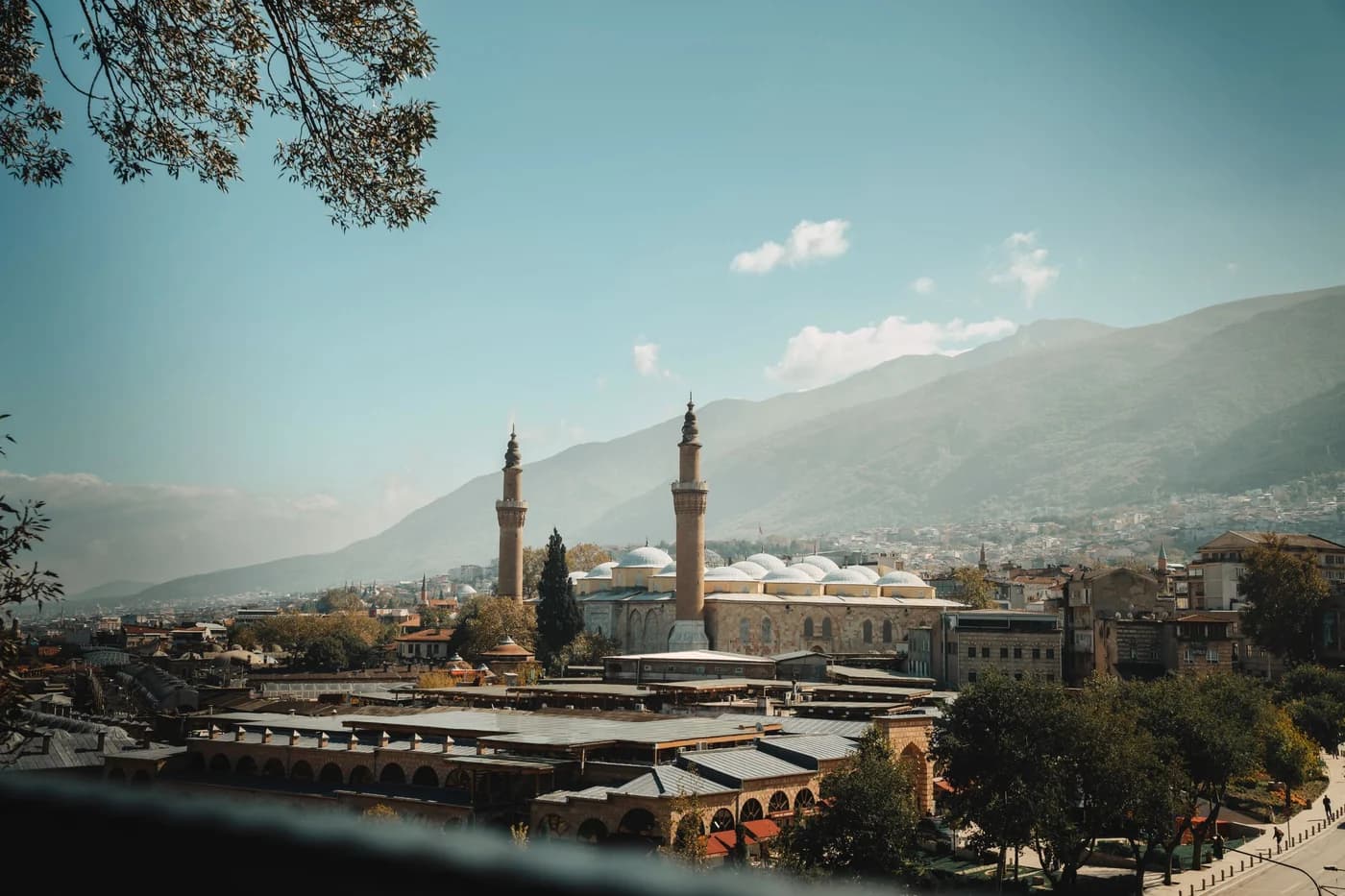 Bursa